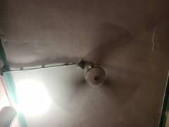 Ceiling fan