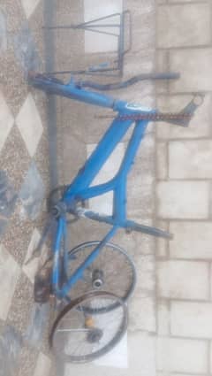 cycle frame