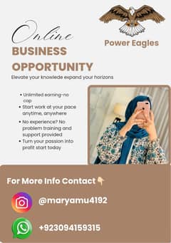 Work from Home with Power Eagles