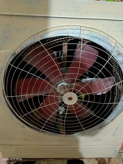 Cooler Jumbo Size