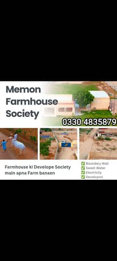 Cattle farm