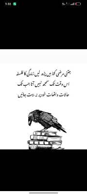 M Arshad saedi