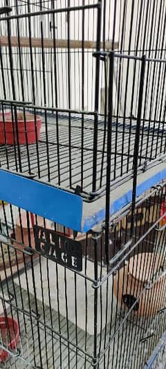 Parrots