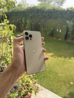 iphone 12 pro max (factory-unlock)