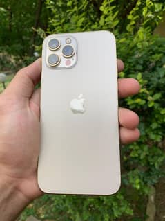 iphone 12 pro max 256 gb jv