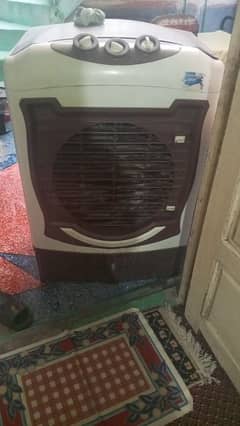 Best cooler for Room