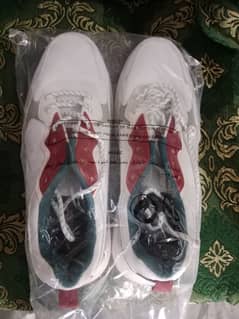 Max Dubai 41 size