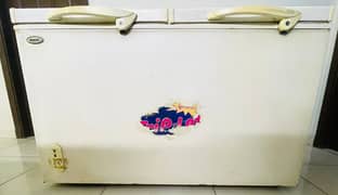 WAVES/Refrigrator/ Fridge