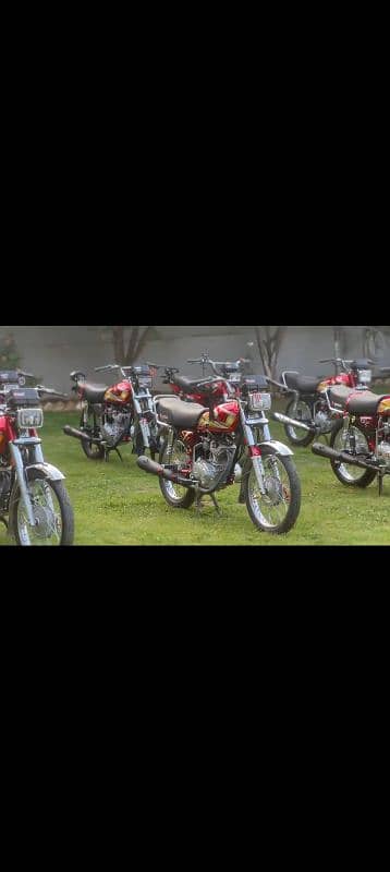 all Punjab Num 7