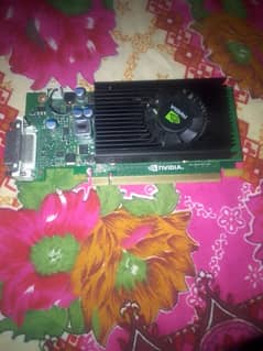 1 gb graphic card