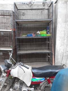 Birds cage