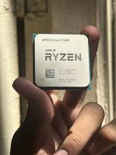 New Ryzen 5 5600 | Ryzen 5600