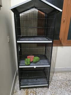 birds cage