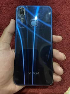 VIVO