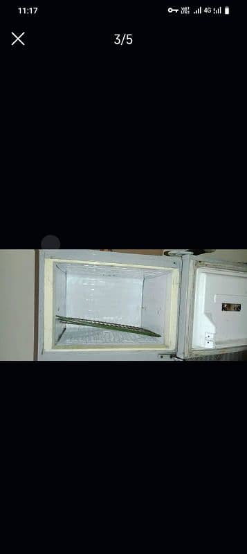 Pel fridge large size 1