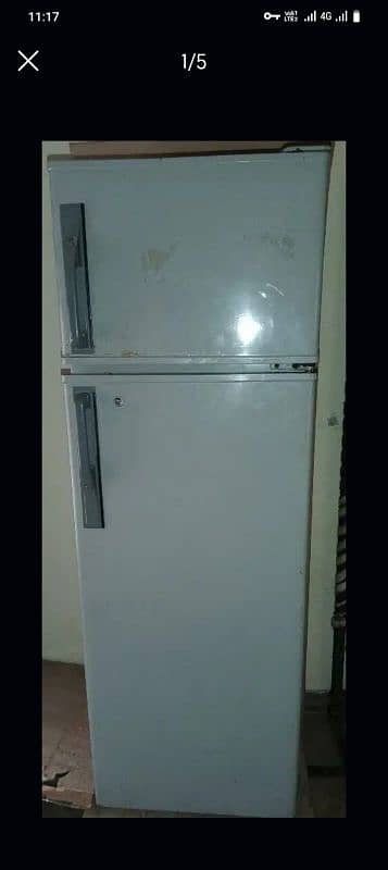 Pel fridge large size 3