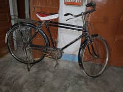 cycle for sell