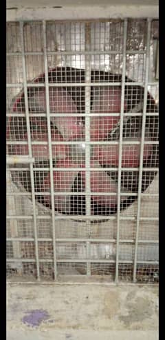 Air cooler