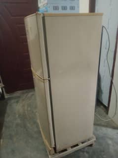 pel fridge for sale. 0343-6380944