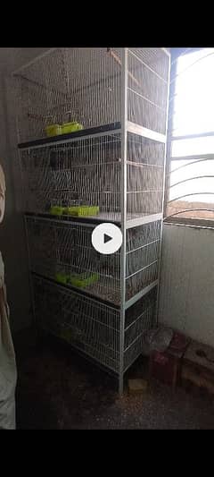 Kase k pas cage hai for sale