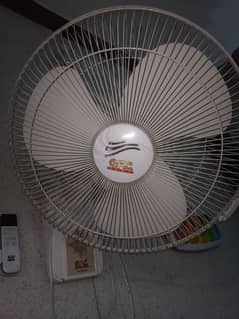 Wall