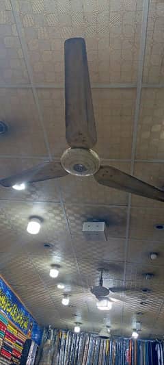 fans