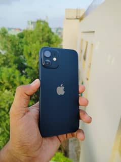 iPhone 12 for sell