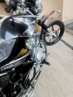 Ybr