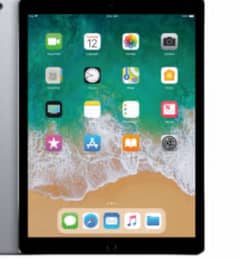 Ipad pro 12.9” 256GB