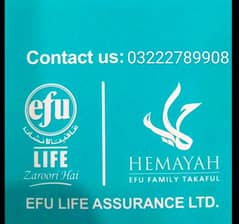 EFU Hemaya Takaful. . future plans