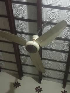 mafcoo
