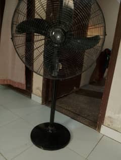 pedestal fan used only 4 months new condition all working