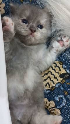 cute baby