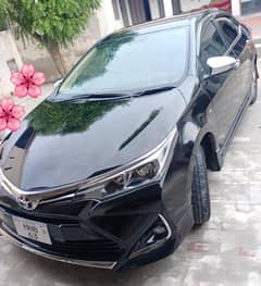 Corolla Gli 2019