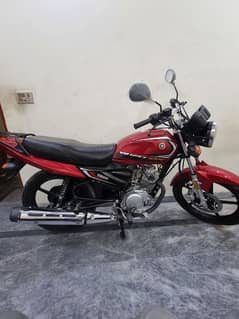 yb 125z dx all ok lush condition 2024 model 10/10