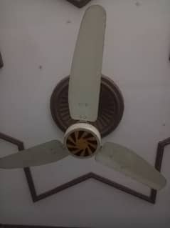 Two royal fans for sale per pcs 4500rs