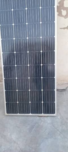 solar palte