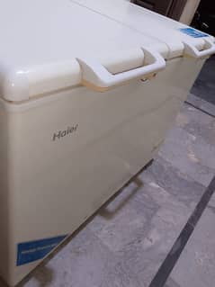Haier