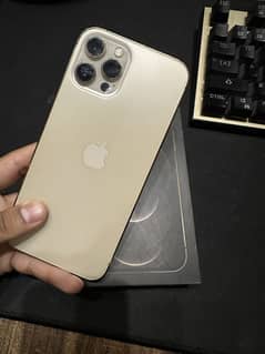 Iphone 12 pro max pta approved