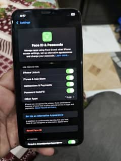 Iphone xsmax factory unlock 256