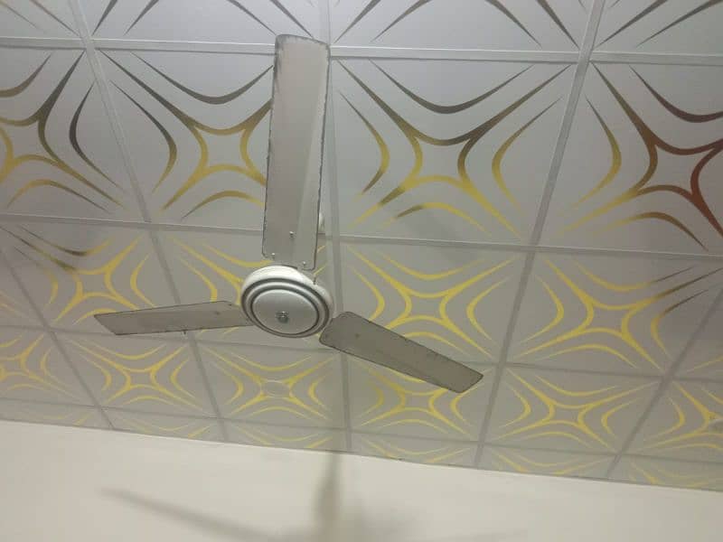 2 celling fans 9000 1