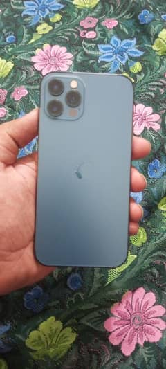 12pro