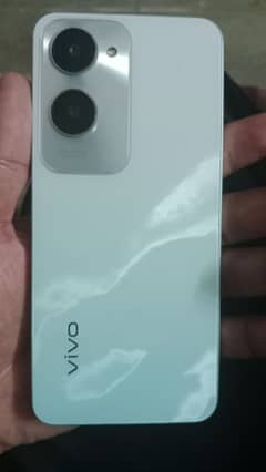 vivo