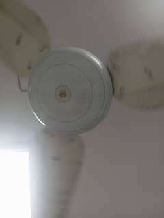 ceiling fans sk brand pure copper