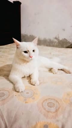 in