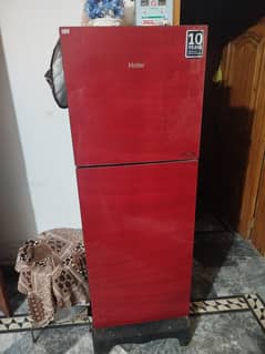Haier Glass Door refrigerator Medium size