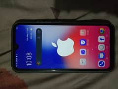 vivo