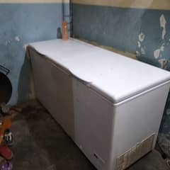 haier dfreezer