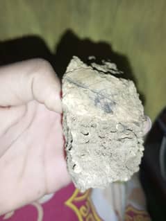 “Rare Natural Leaf Fossil Stone – Ancient Plant Imprint”*