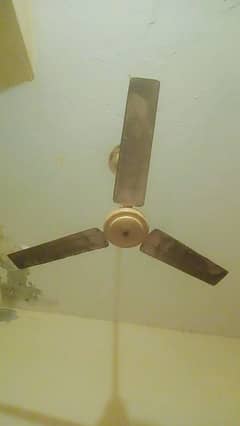 arjnatt sale